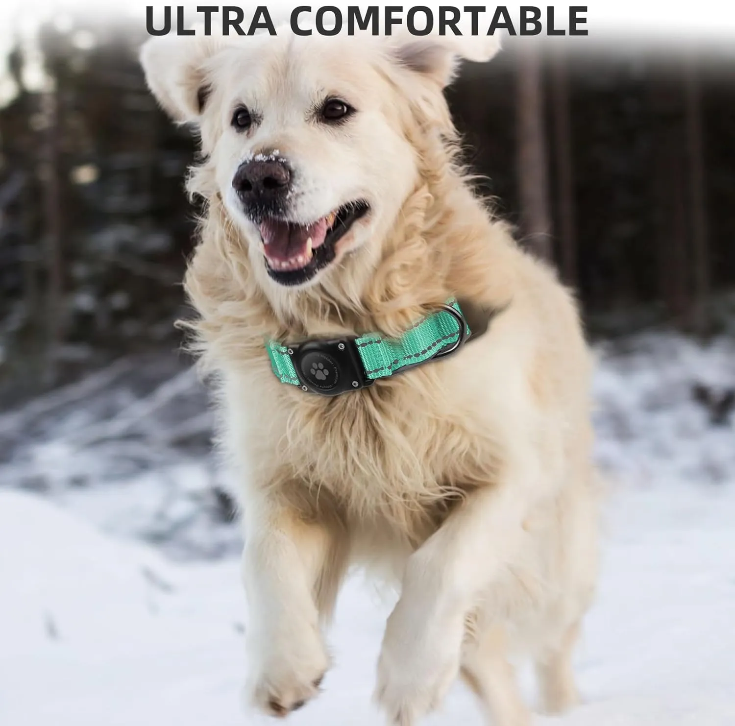 Airtag Dog Collar - 100% Waterproof Air tag Dog Collar Holder for Apple AirTag, Reflective, Soft Padded, Everlasting, GPS Dog Collar for Small Medium Large Dogs (Teal, S)
