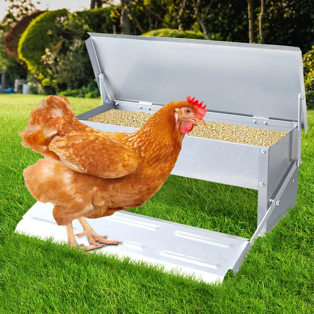 Automatic Chicken Feeder