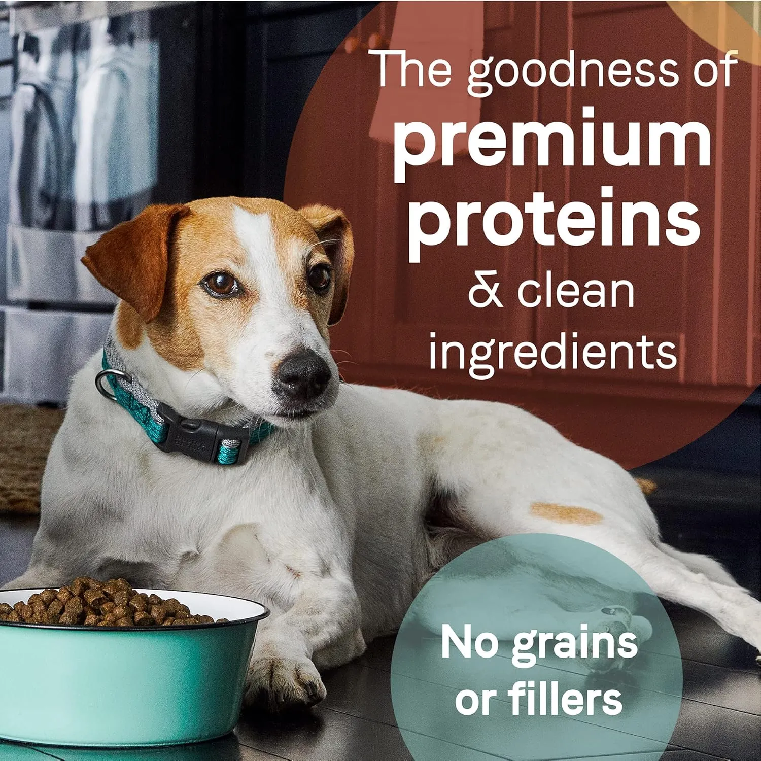 Canidae Pure Limited Ingredient Premium Adult Dry Dog Food, Real Bison, Lentil & Carrot Recipe, 21 lbs, Grain Free