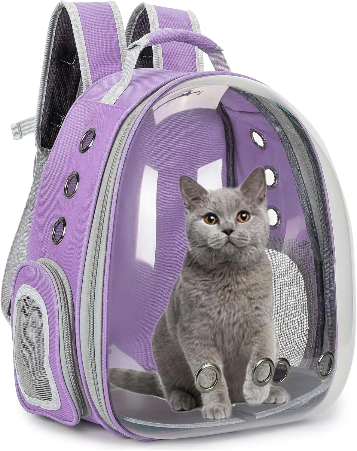 Cat Bubble Backpack Carrier for Small Medium Dogs Cats Carrying Bag, Airline Approved Pet Travel Carrying Bag Dog Hiking Walking Outdoor Backpack (Purple)