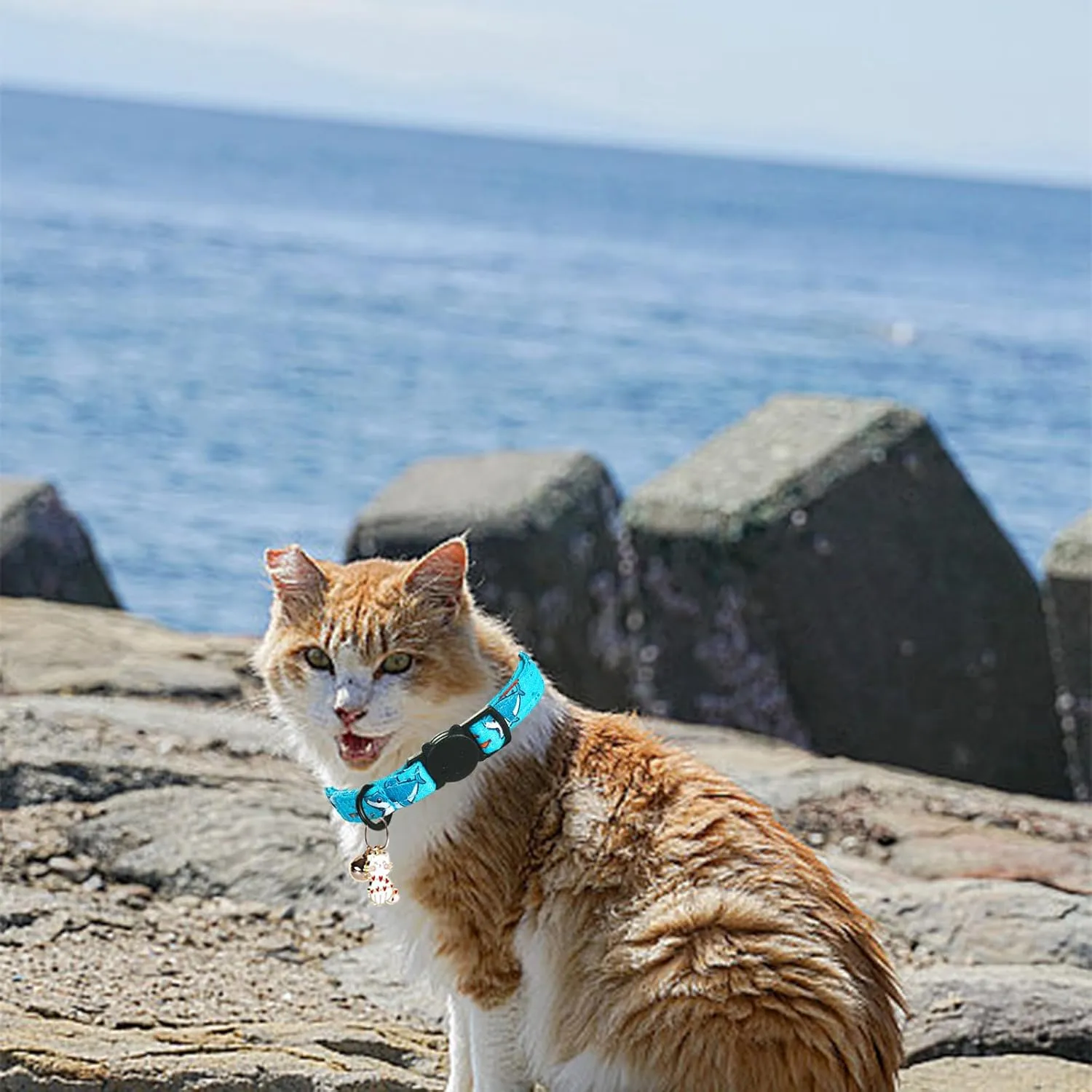 Cat Collar-2 Pack Cat Collars Shark & Dinosaur Cat Collar Breakaway with Kitten and Bell Pendant Safety Buckle Adjustable Cute Pet Collar for Boy Cats Gift for Cats and Small Pets