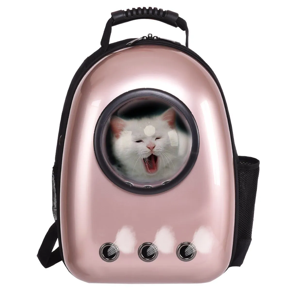 Cat Travel Backpack Colorful With Free Delivery