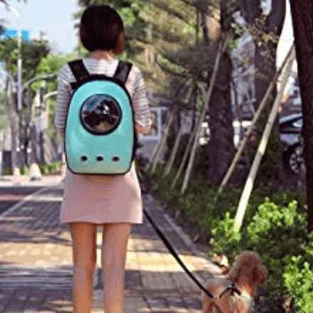 Cat Travel Backpack Colorful With Free Delivery