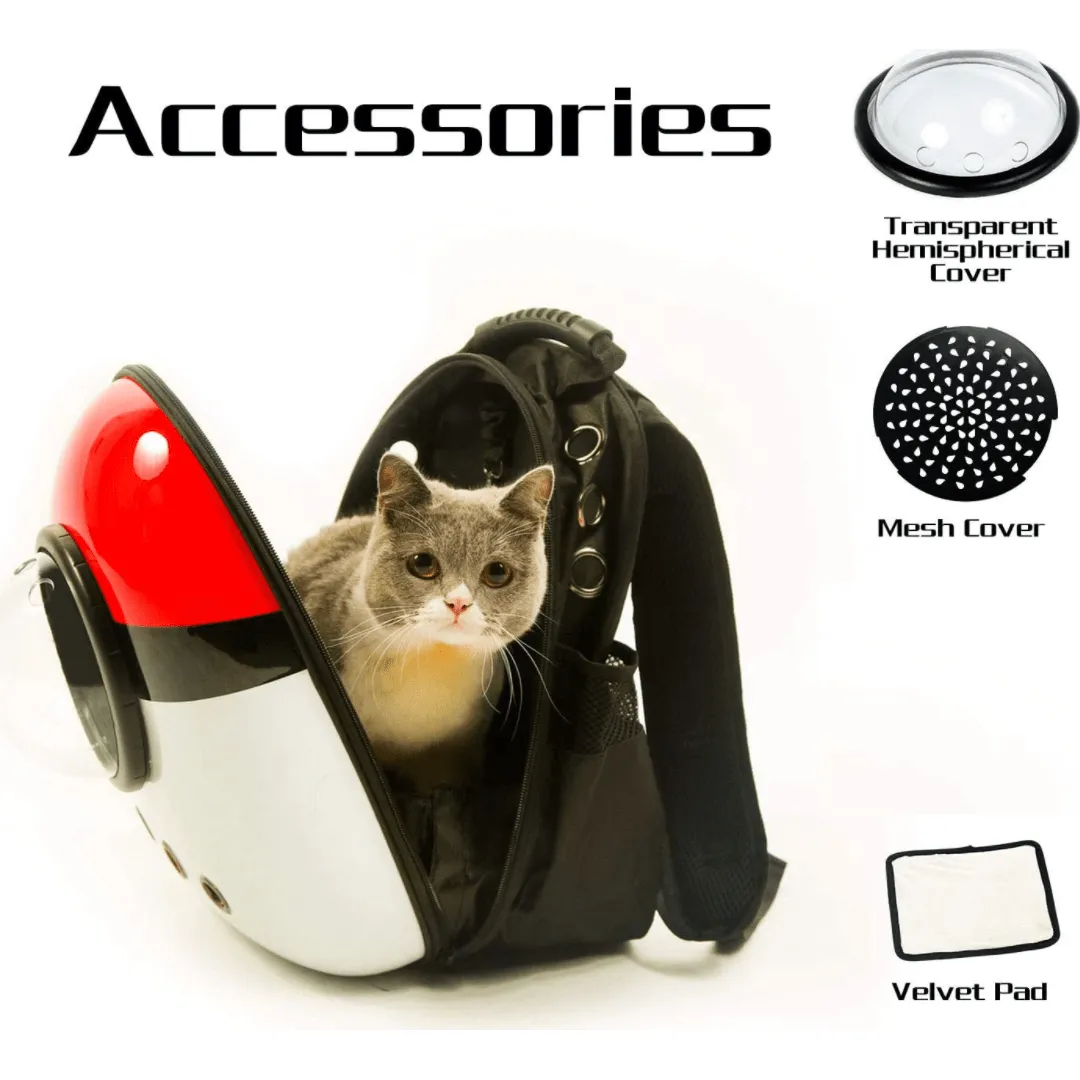 Cat Travel Backpack Colorful With Free Delivery