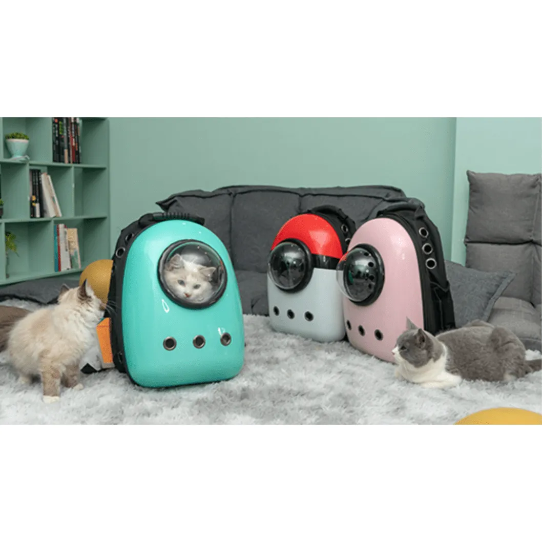 Cat Travel Backpack Colorful With Free Delivery