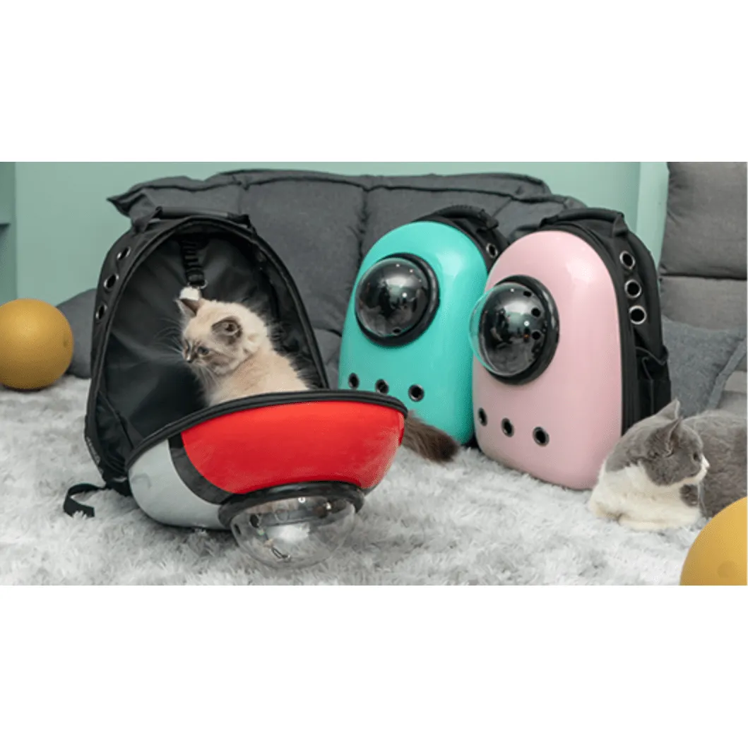 Cat Travel Backpack Colorful With Free Delivery