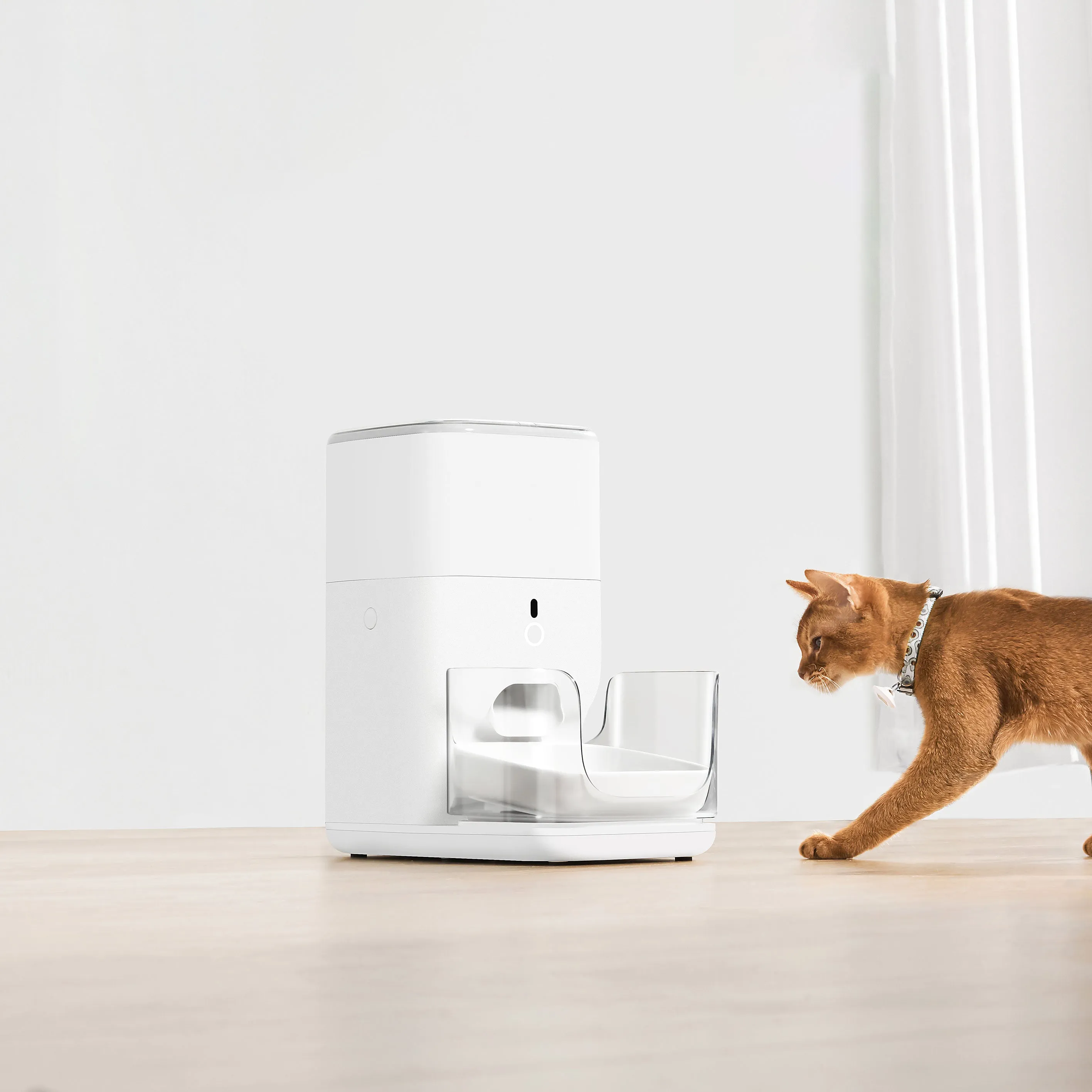 CATLINK Feeding Set