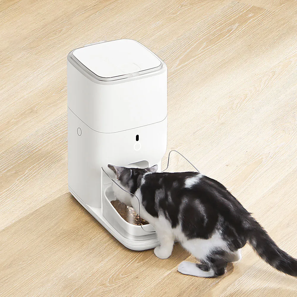CATLINK Feeding Set