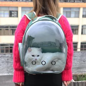 Cute Clear Cat Backpack Carrier