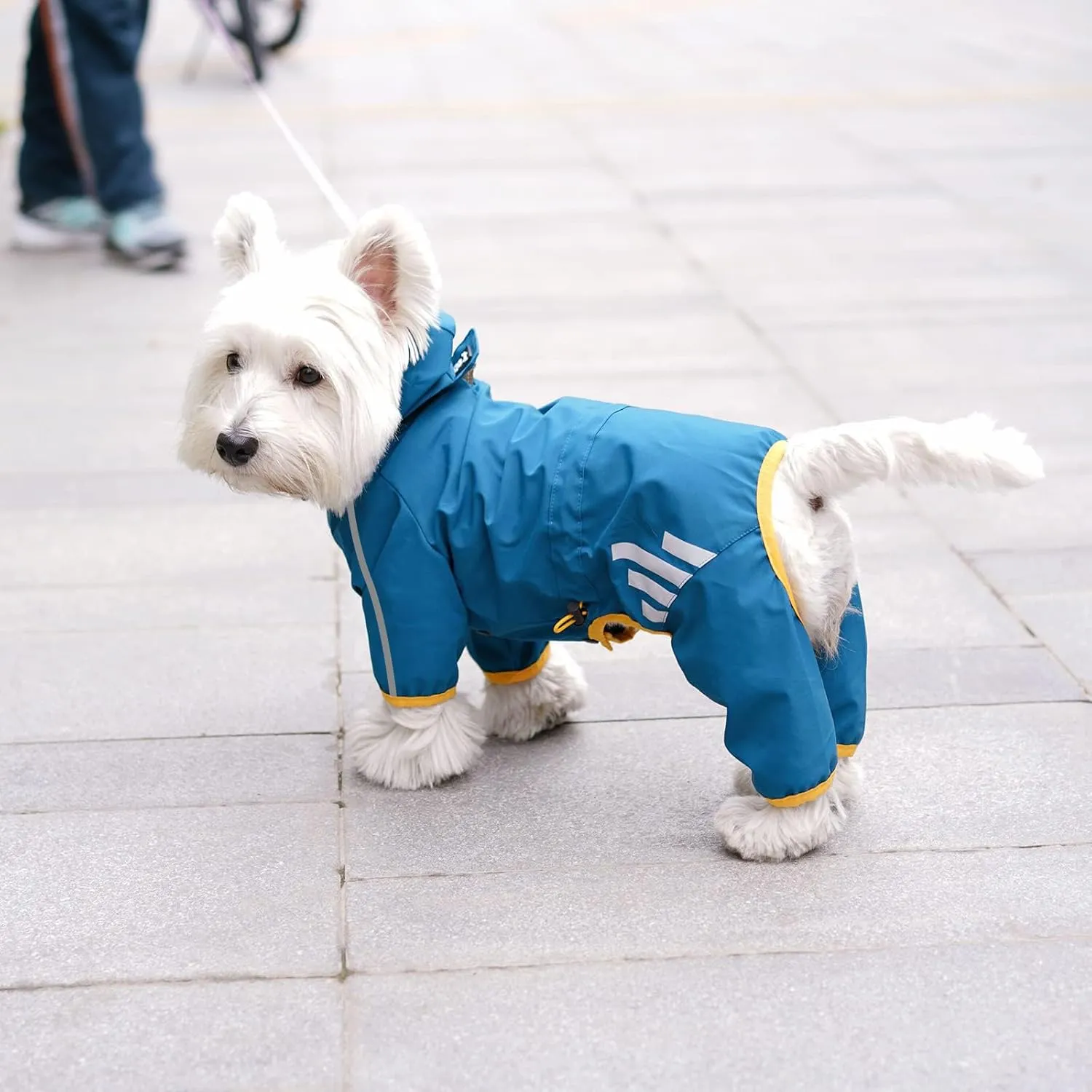 Dog Raincoat, Waterproof Dog Rain Jacket with Hood, Rain Coat with Leash Hole, Reflective Strap for Small Medium Dogs, Outdoor Adventures/Walking Lightweight Puppy (Blue,M)