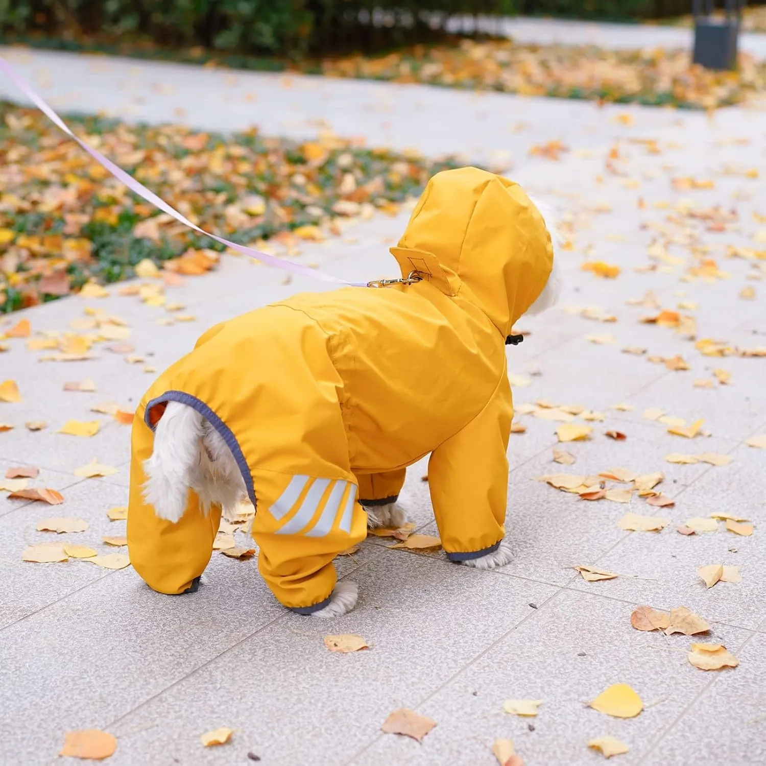 Dog Raincoat, Waterproof Dog Rain Jacket with Hood, Rain Coat with Leash Hole, Reflective Strap for Small Medium Dogs, Outdoor Adventures/Walking Lightweight Puppy (Yellow,M)