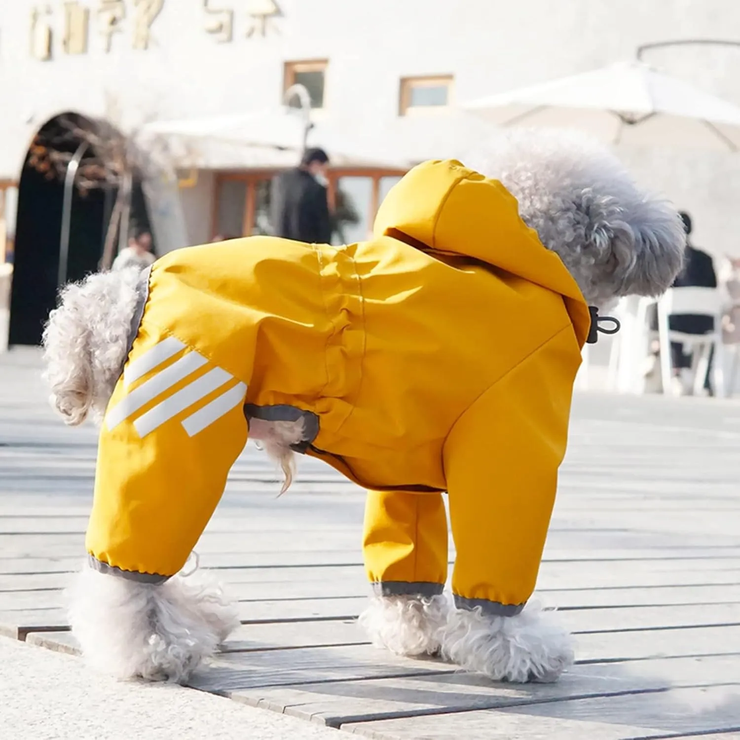 Dog Raincoat, Waterproof Dog Rain Jacket with Hood, Rain Coat with Leash Hole, Reflective Strap for Small Medium Dogs, Outdoor Adventures/Walking Lightweight Puppy (Yellow,M)