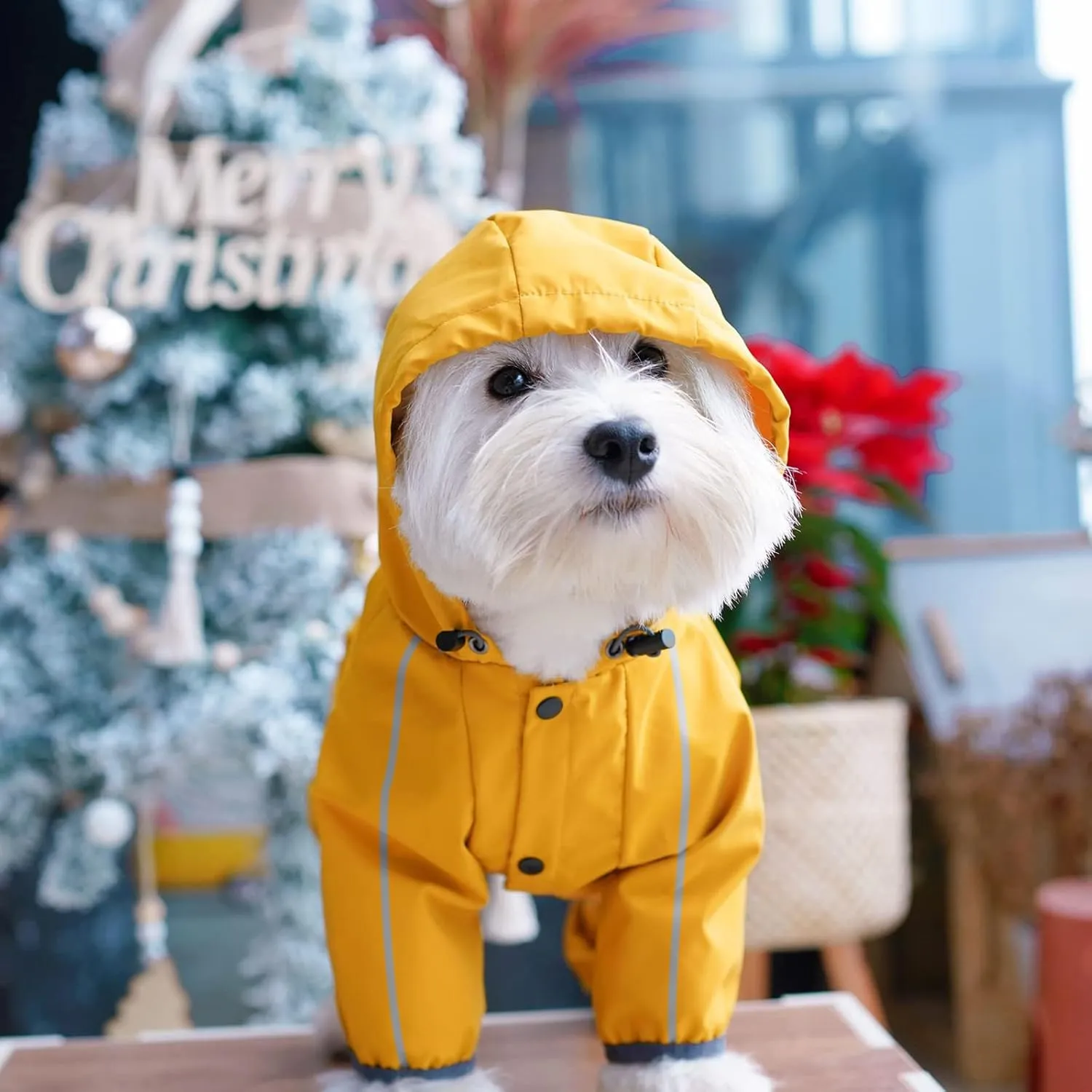 Dog Raincoat, Waterproof Dog Rain Jacket with Hood, Rain Coat with Leash Hole, Reflective Strap for Small Medium Dogs, Outdoor Adventures/Walking Lightweight Puppy (Yellow,M)