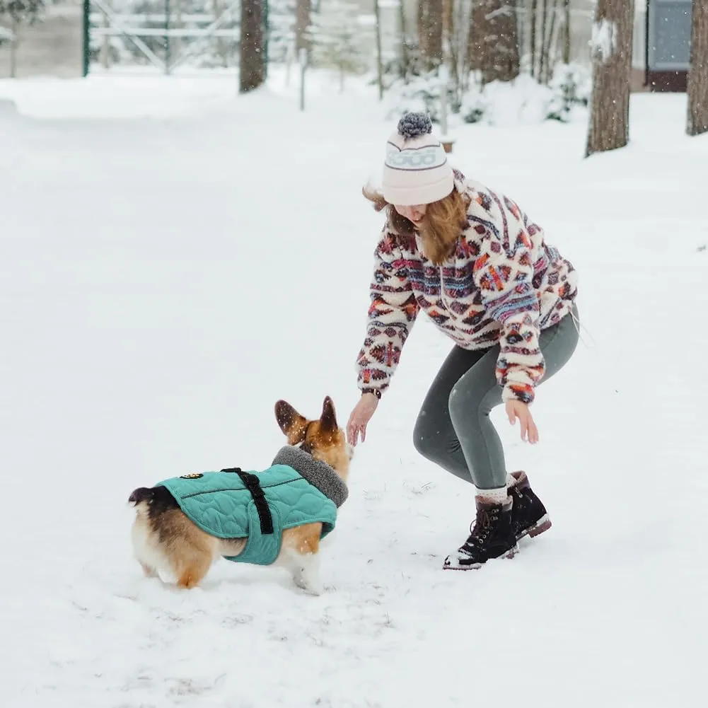 Dog Winter Coat, Fleece Lined, Windproof, Adjustable, Quick Release Buckle, Small to Large, Dark Turquoise