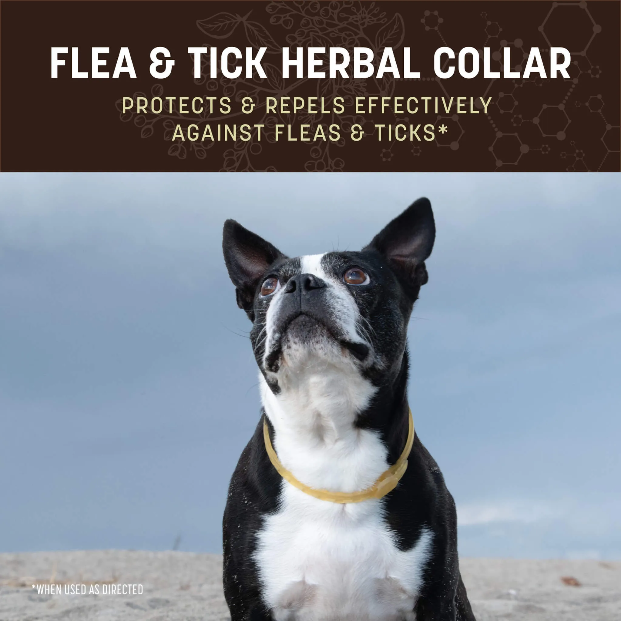 Earth Animal Nature's Protection Flea & Tick Collar for Dogs