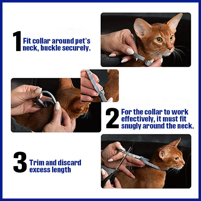 Eco Pet Health Protection Collar: Flea & Tick Defense, Long-lasting
