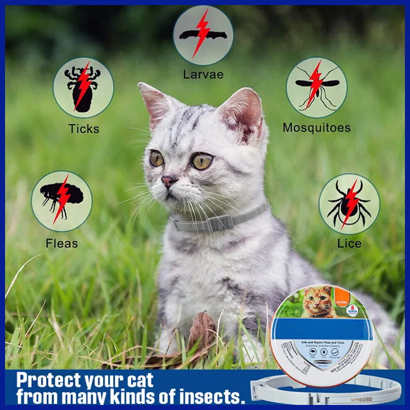 Eco Pet Health Protection Collar: Flea & Tick Defense, Long-lasting