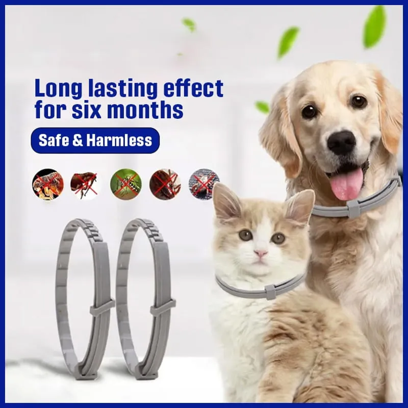 Eco Pet Health Protection Collar: Flea & Tick Defense, Long-lasting