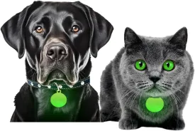 GLO-X Dog & Cat Collar Glow Tags  Worlds Most Powerful Glow in The Dark Pet Collar Glow Tags to Keep Your Cats & Dogs Safe at Night  Enhance Visibility-12  Hours Glow Time  Solar Powered