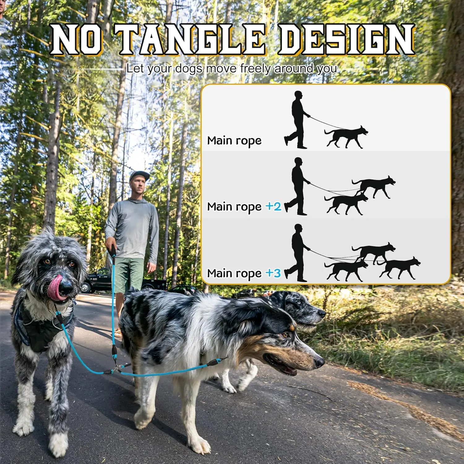 Heavy Duty Three-Way Dog Leash, No-Tangle Detachable 360 Swivel, Padded Handle, for Walking & Training (Blue, S/8-40 lbs)