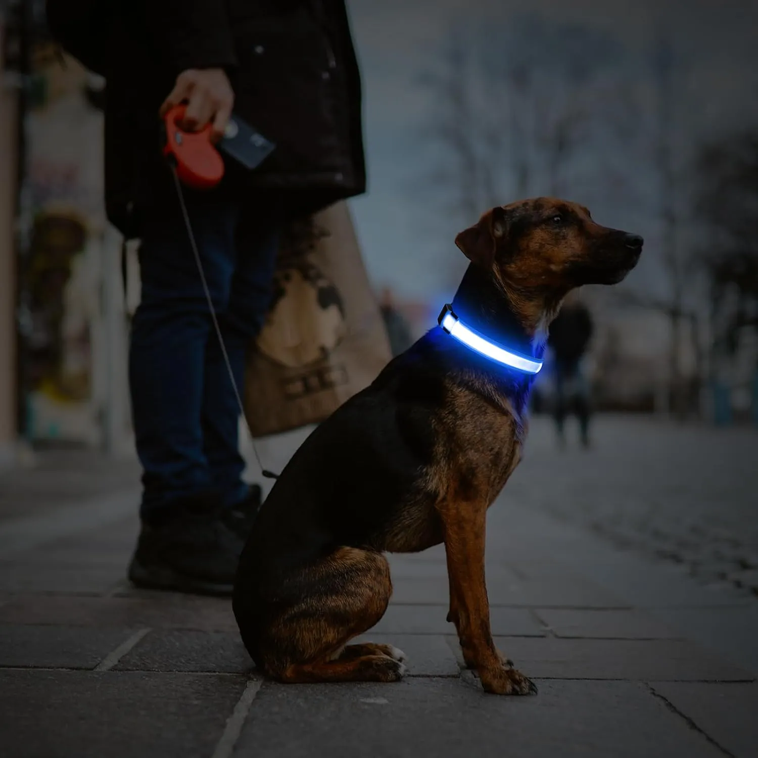 Illumifun LED Dog Collar, Water-Resistant Light Up Dog Collar, Safety Dog Collar Light for Your Dogs Walking Camping(Blue, X-Large)