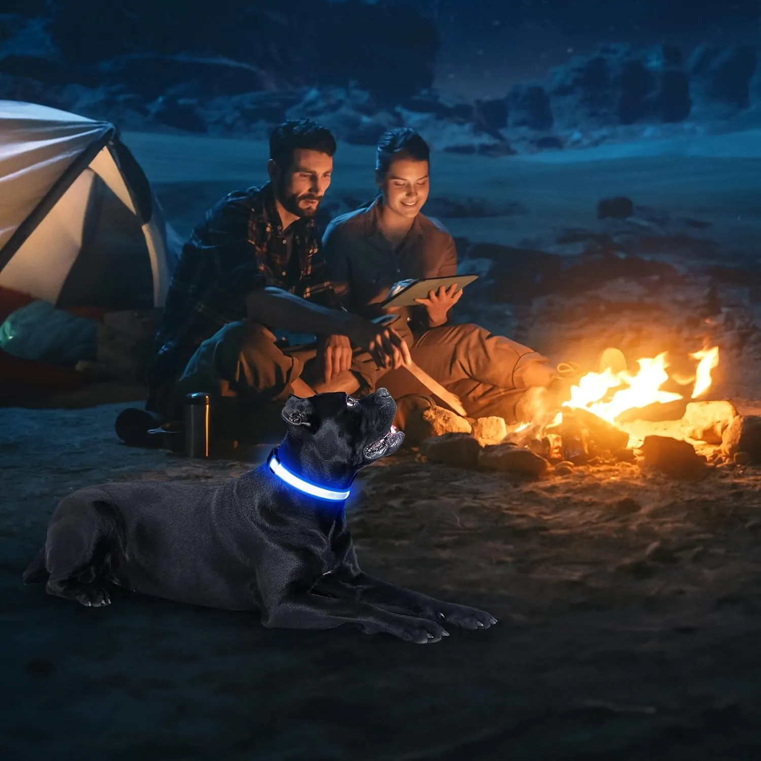 Illumifun LED Dog Collar, Water-Resistant Light Up Dog Collar, Safety Dog Collar Light for Your Dogs Walking Camping(Blue, X-Large)