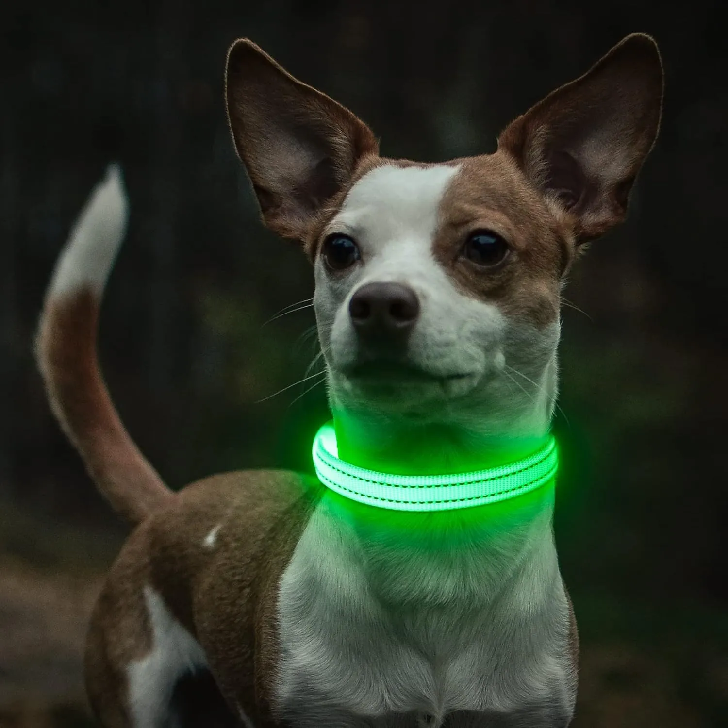 Light Up Dog Collar for Small Dogs - Rechargeable Puppy Collars Glow in The Dark LED Dog Collar Lights for Night WalkingX-Small, Green