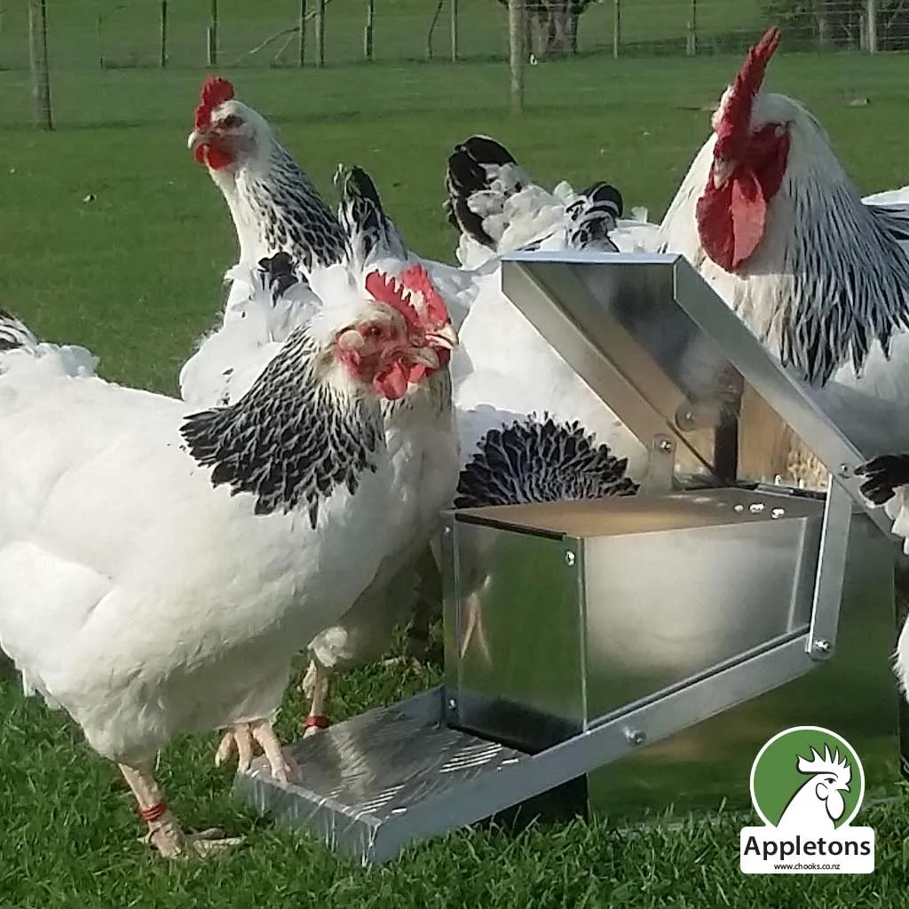 Mini Step On Feeder 6kg | Appletons