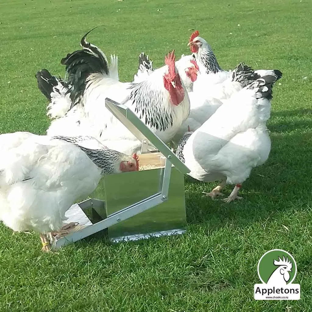 Mini Step On Feeder 6kg | Appletons