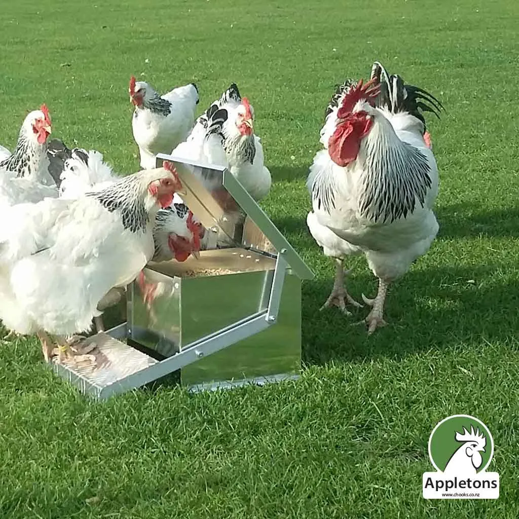 Mini Step On Feeder 6kg | Appletons