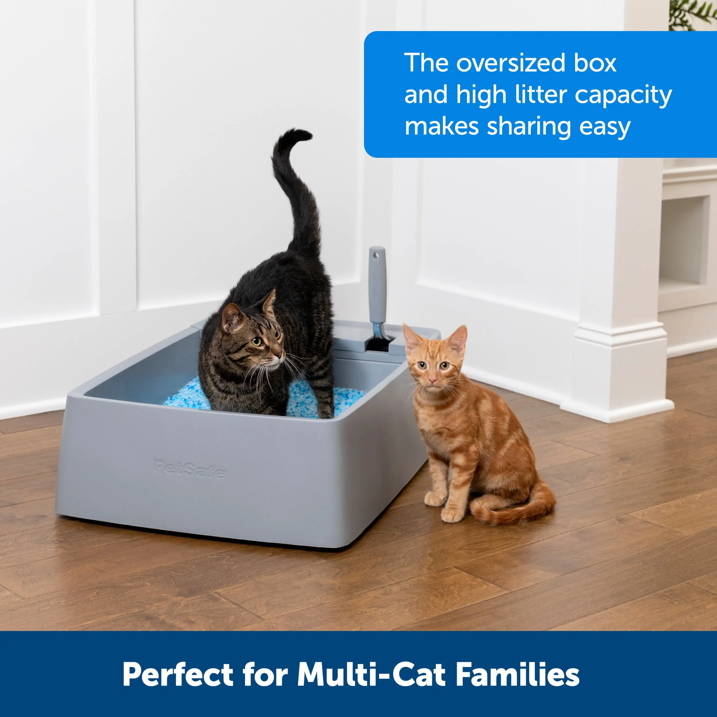 Multi-Cat Litter Box