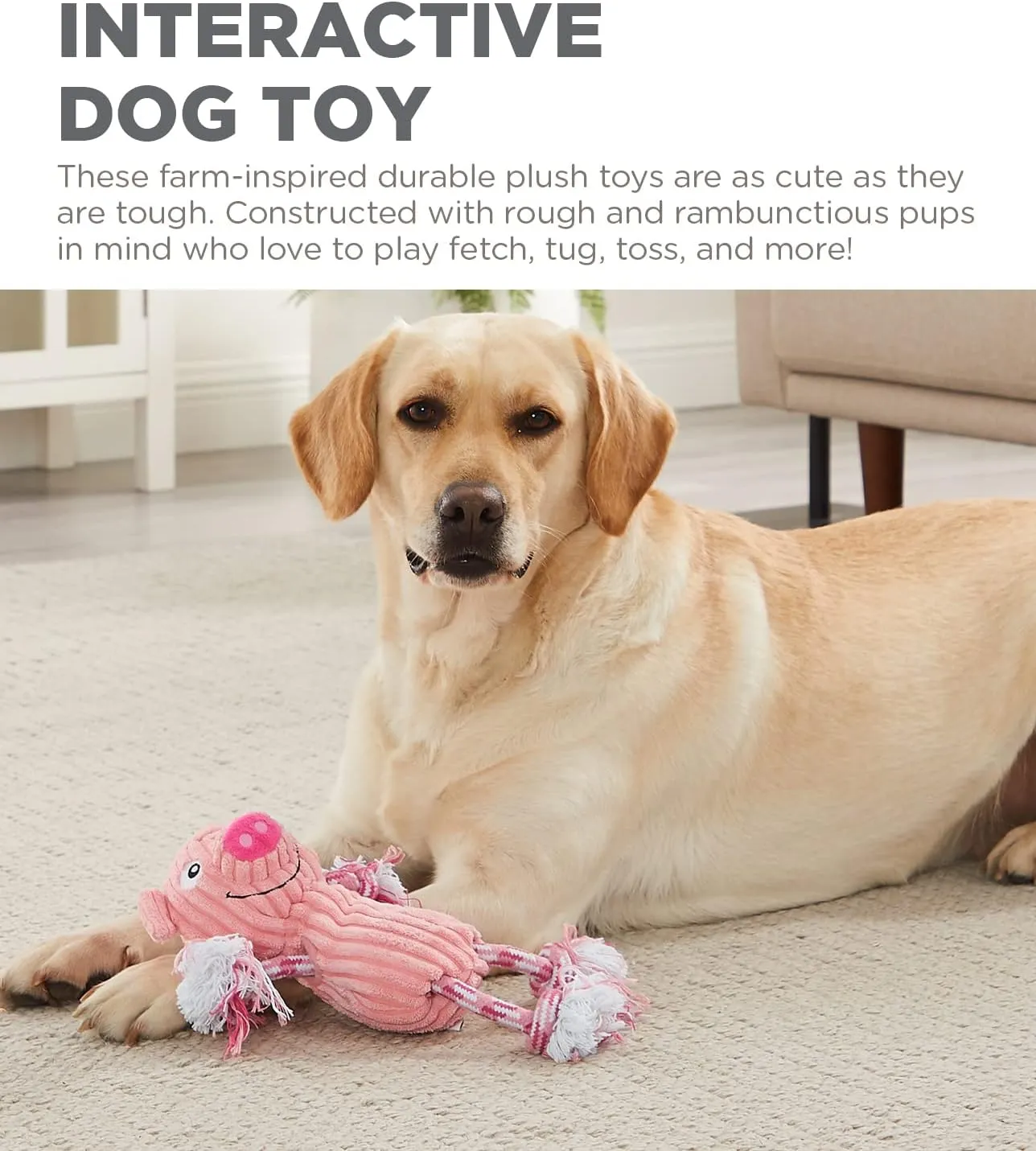Outward Hound Ranch Roperz Pig Plush Squeaky Dog Toy