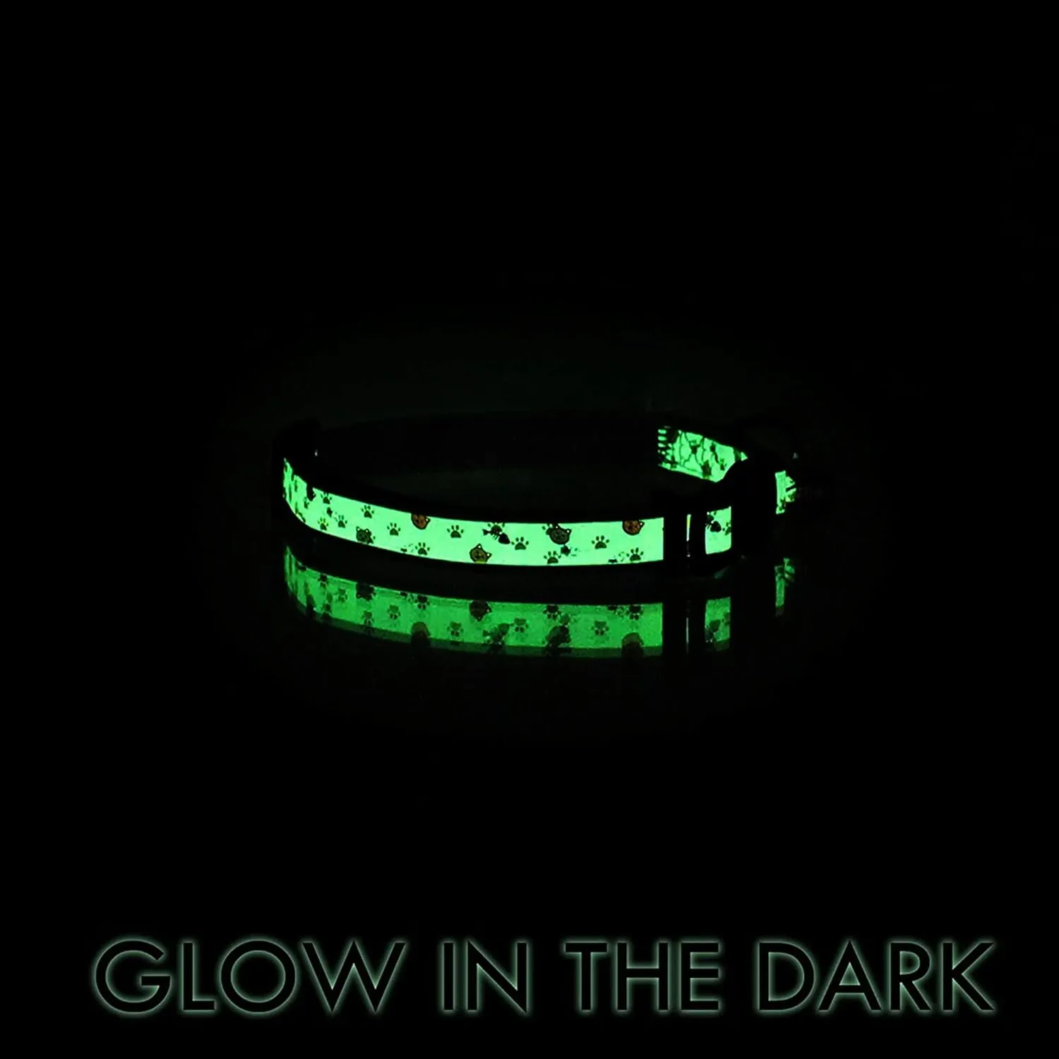 Pawtitas Glow in The Dark Cat Collar with Safety Buckle and Removable Bell Cat Collar Kitten Collar Green Cat Collar