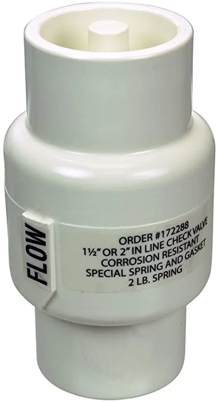 Pentair Corrosion Resistant Check Valve - R172288