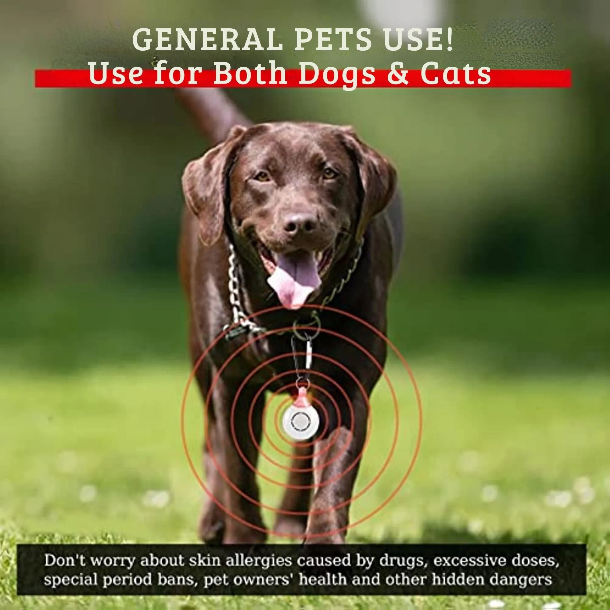 Pests Guard Pro Repeller for Pets : UNBEATABLE OFFER - LIMITED TIME - SAVE $89.95