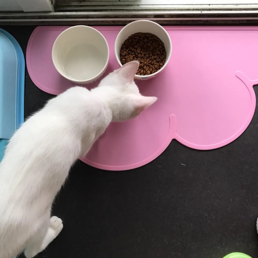 Pet Cloud Feeding Mat