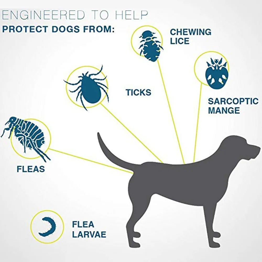 Pet Flea and Tick Collar for Dogs and Cats