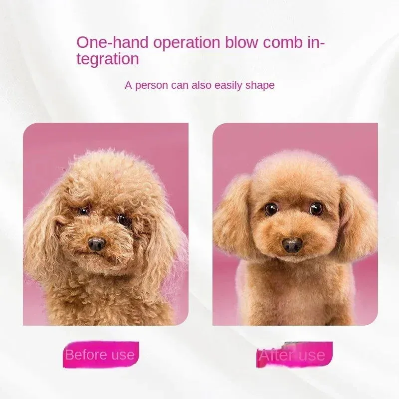 Pet Hair Dryer