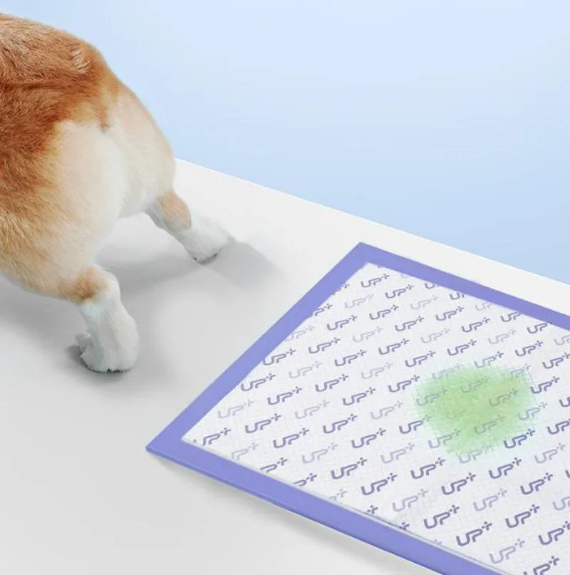 Pet pads dog diapers thickened deodorant diapers disposable dog diapers cleaning supplies