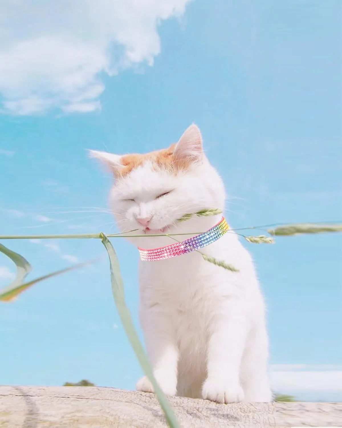 Petank Pink Suede Breakaway Cat Collar with Sparkling Rhinestones & Bell - Soft Adjustable Safe Release Kitten Collar for Small Medium Cats (7.5-12.5 Inches