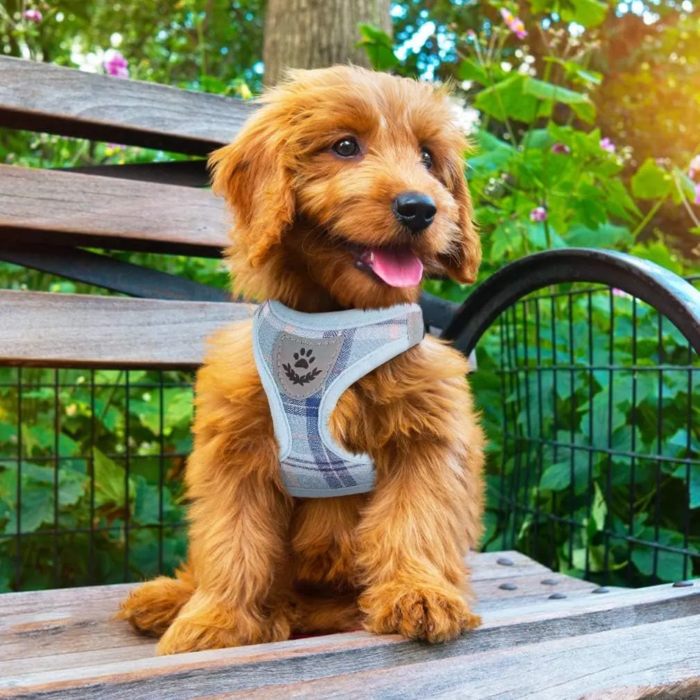 PUPTECK Adjustable Dog Harness Collar and Leash Set Step in No Pull Pet Harness for Small Medium Dogs Puppy and Cats Outdoor Walking Running, Soft Mesh Padded Reflective Vest Harnesses, Blue S