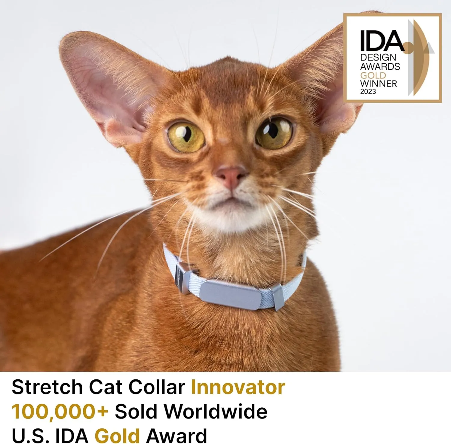Safety Cat Collar Pro and Personalized Name Tag Set - U.S. IDA Gold Award Elastic Quick Release Cat Collar Non Breakaway Engraved Cat ID Tag for Kitten Small Large Cats (Vivid Red, M)