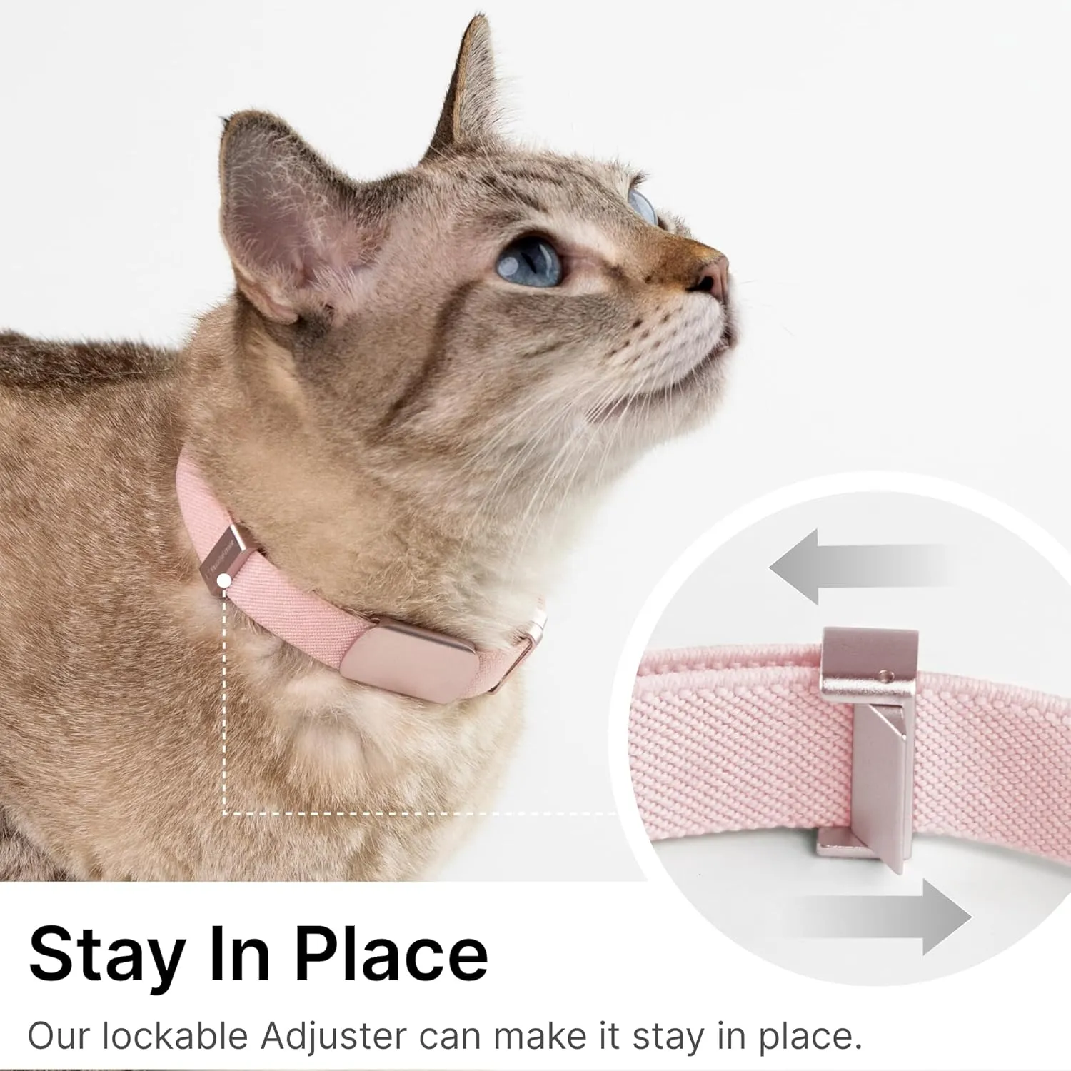 Safety Cat Collar Pro and Personalized Name Tag Set - U.S. IDA Gold Award Elastic Quick Release Cat Collar Non Breakaway Engraved Cat ID Tag for Kitten Small Large Cats (Vivid Red, M)