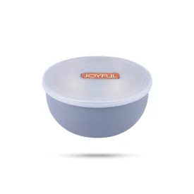 Stainless Steel Bowl with Plastic Lid - 2 x 4 Inches | Stainless Steel Cup for Home