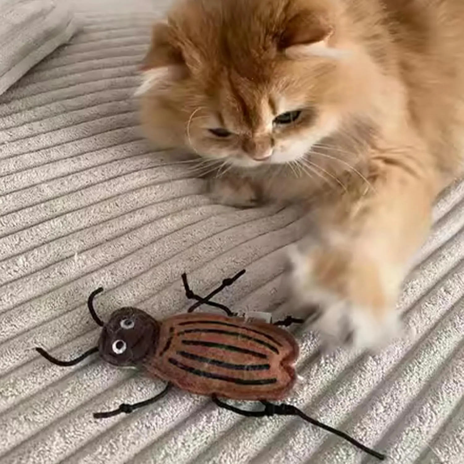Strange Insect Series Catnip Toys for Cats, Felt Catnip Toy, Lovely Cat Nip Toys for Indoor Cats, Improves The Happiness of Cats and Kittens of All Breeds (Set of 6)