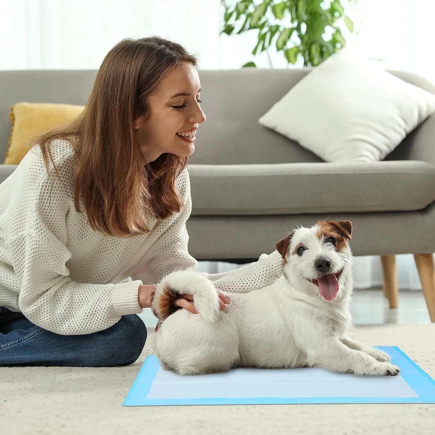 Super Absorbent Waterproof Dog and Puppy Pet Training Pad, Housebreaking Pet Pad, 40-Count Extra Middle-Size, 30X30, Blue