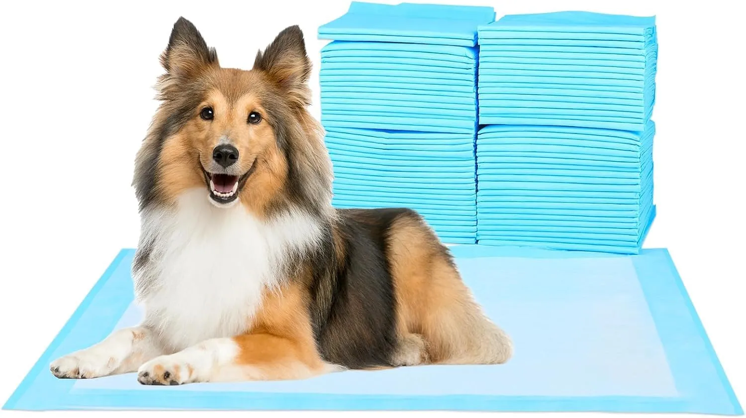 Super Absorbent Waterproof Dog and Puppy Pet Training Pad, Housebreaking Pet Pad, 40-Count Extra Middle-Size, 30X30, Blue
