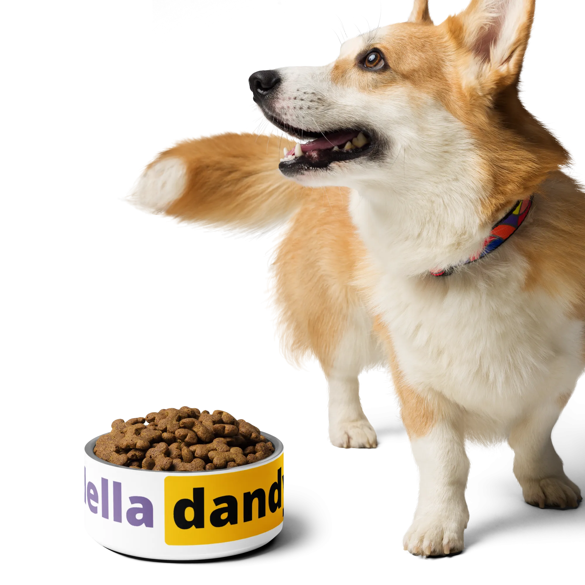 The Hub Pet bowl
