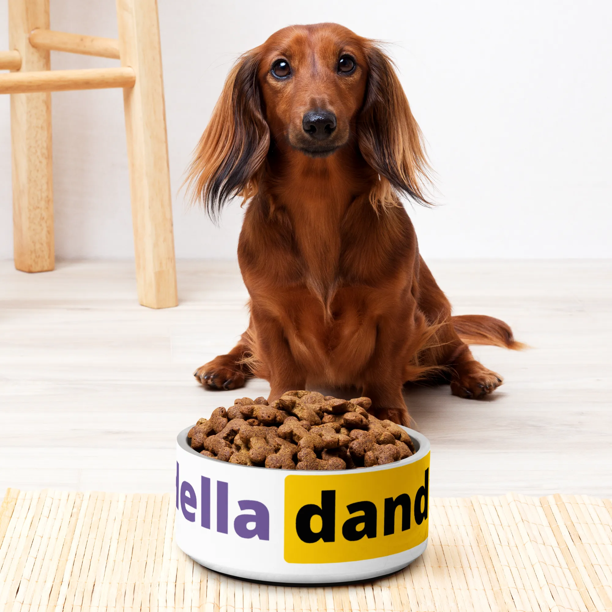 The Hub Pet bowl