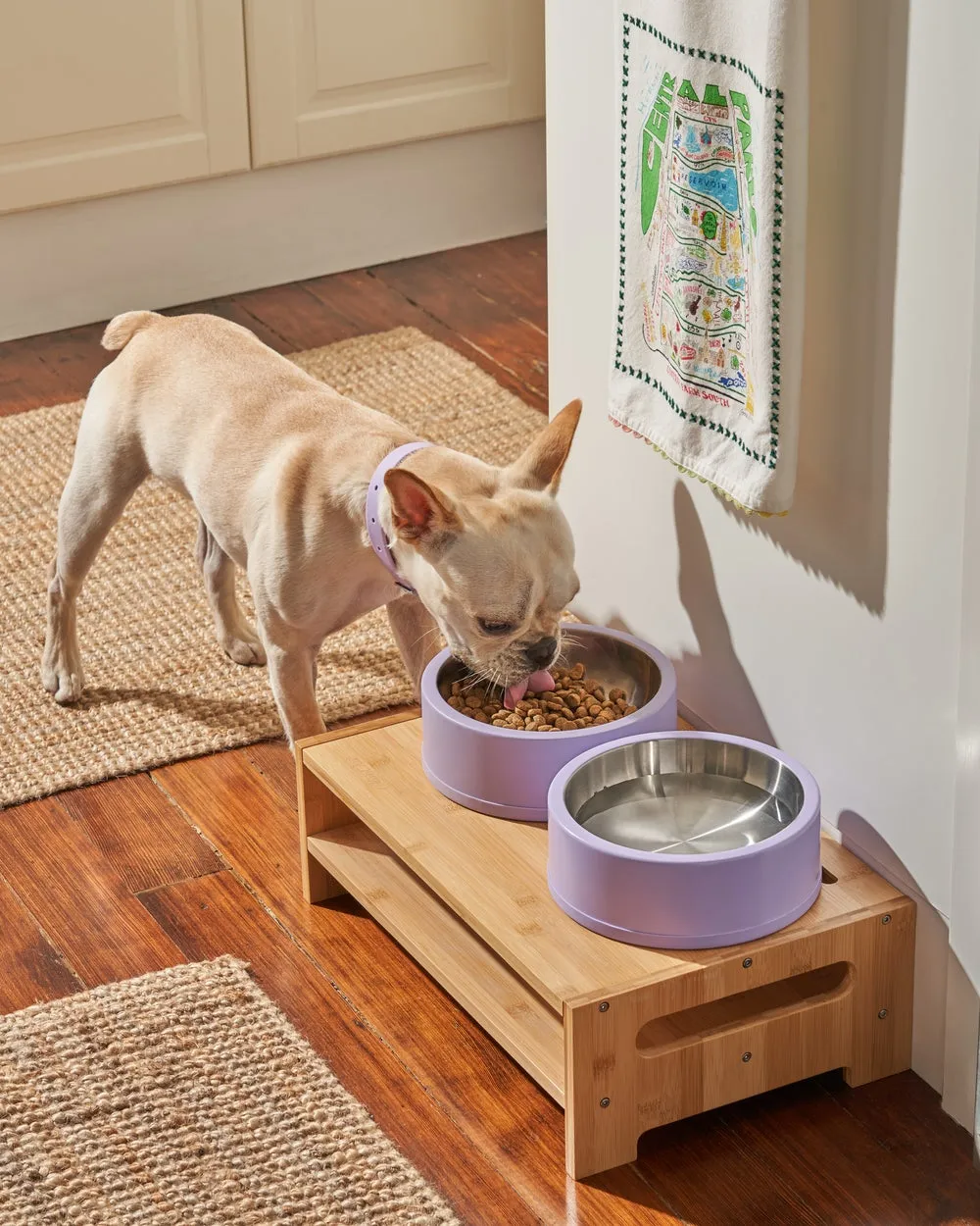 Wild One Stainless Bowl - Lilac